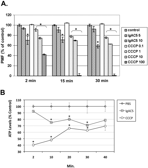 FIG 2 