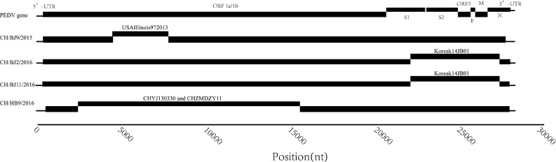 Fig. 3