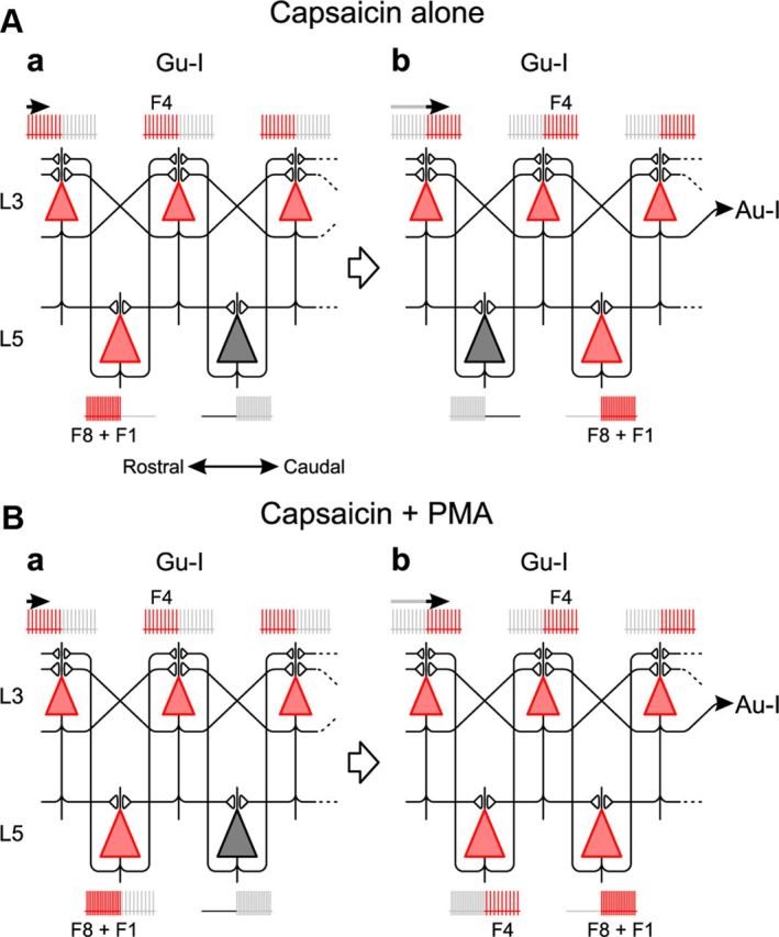 Figure 14.