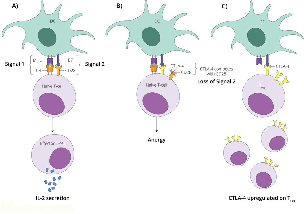 Figure 2 –