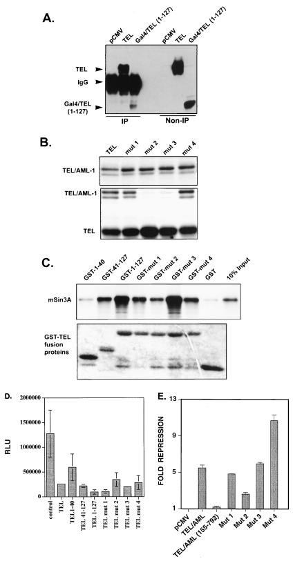 FIG. 5