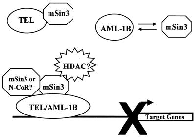 FIG. 8