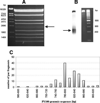 FIG. 6.