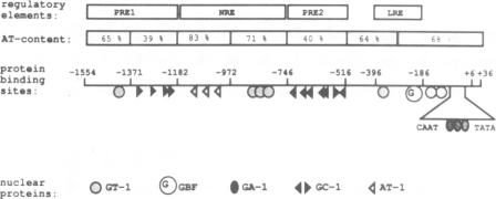 Fig.7