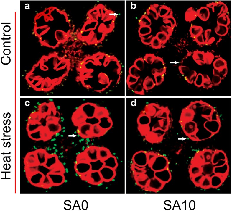 Fig. 3