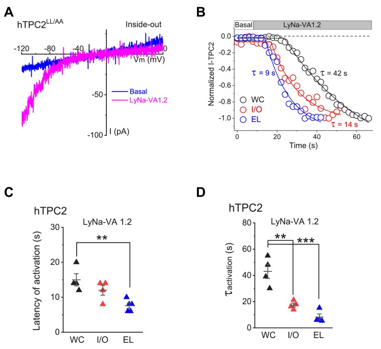 Figure 1—figure supplement 2.