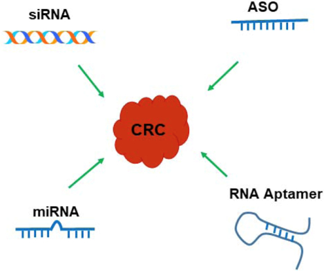 graphic file with name nihms-1548078-f0001.jpg