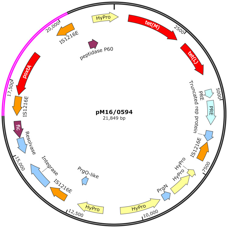 Figure 3.