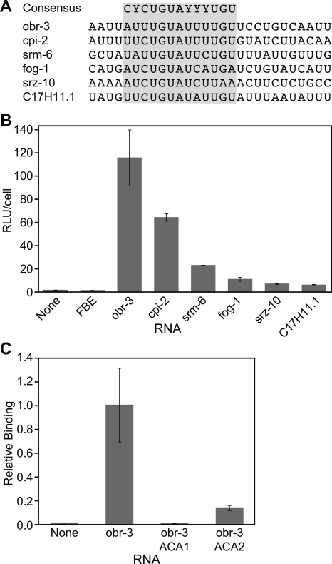 FIGURE 6.