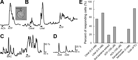 Fig. 9.