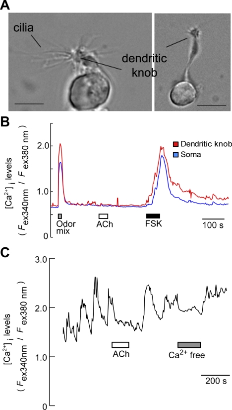 Fig. 4.