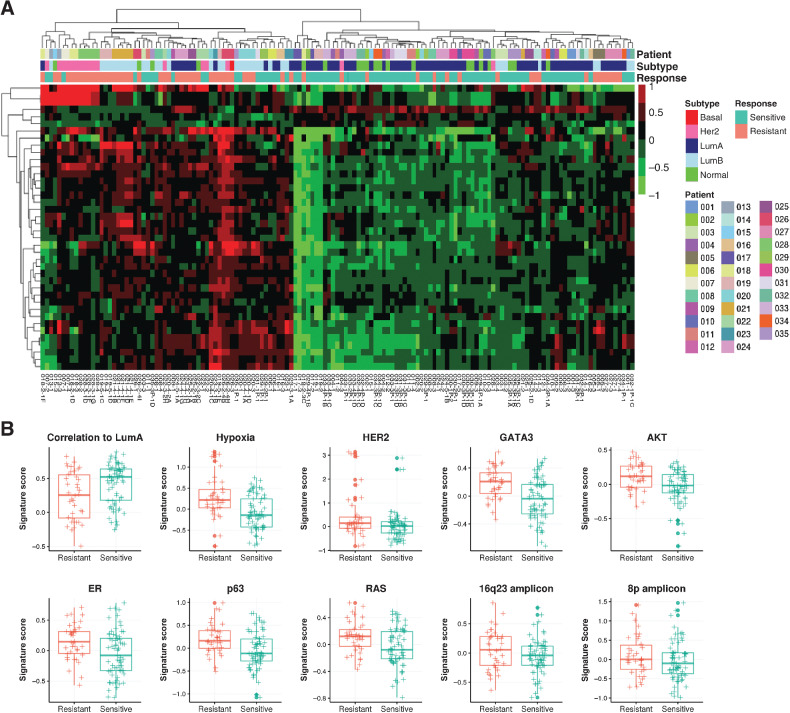 Figure 4. Differential expression of gene signatures in resistant tumors. A, Hierarchical clustering of significantly differentially expressed gene signatures in resistant tumors (N = 24 from 17 patients) compared with matched sensitive tumors (N = 29 from 17 patients) identified through linear mixed models. B, Box plots indicating median score and interquartile range of significant signatures showing elevated signaling pathways in resistant tumors.