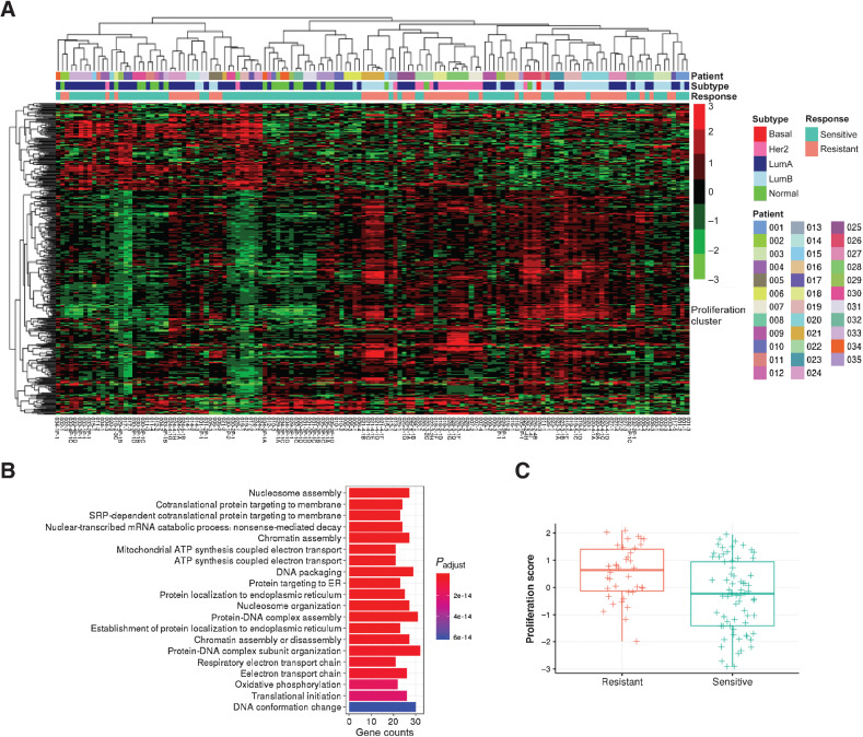 Figure 3. Differential gene expression in resistant tumors. A, Hierarchical clustering of batch corrected RNA gene expression of significantly differentially expressed genes in resistant tumors (N = 24 from 17 patients) compared with matched sensitive tumors (N = 29 from 17 patients) using linear mixed models. B, GO terms associated with upregulated genes in resistant tumors. C, Box plot indicating median score and interquartile range of proliferation scores in resistant and sensitive tumors.