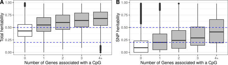 Figure 4—figure supplement 1.