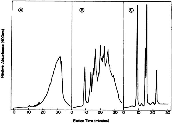 Chart 4