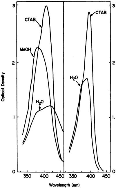 Chart 7