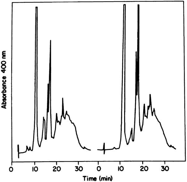 Chart 6