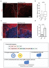 Extended data Fig. 9