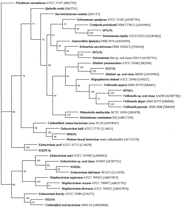 FIG. 1