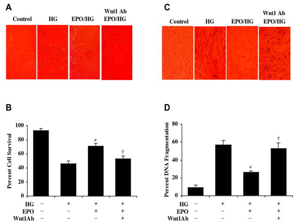 Fig. (3)