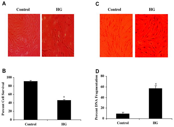 Fig. (1)