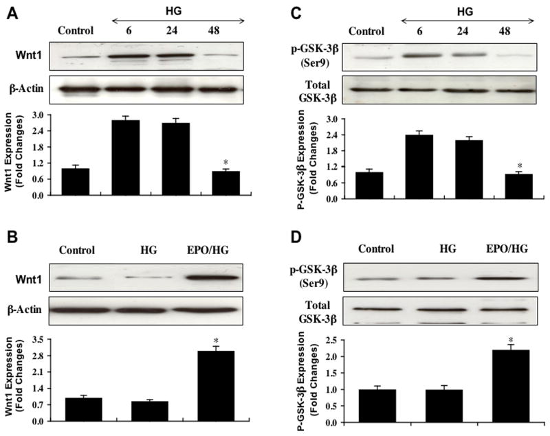 Fig (4)