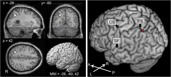 Fig 6