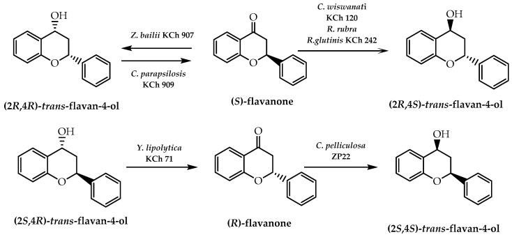 Figure 25