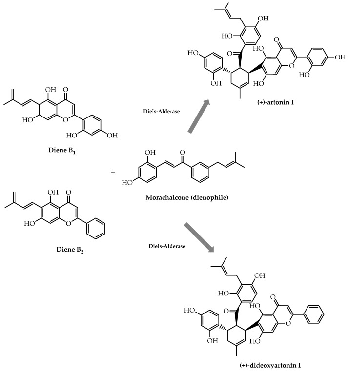 Figure 27