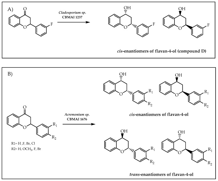 Figure 28