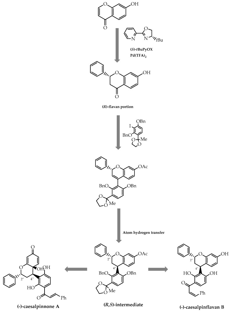 Figure 22