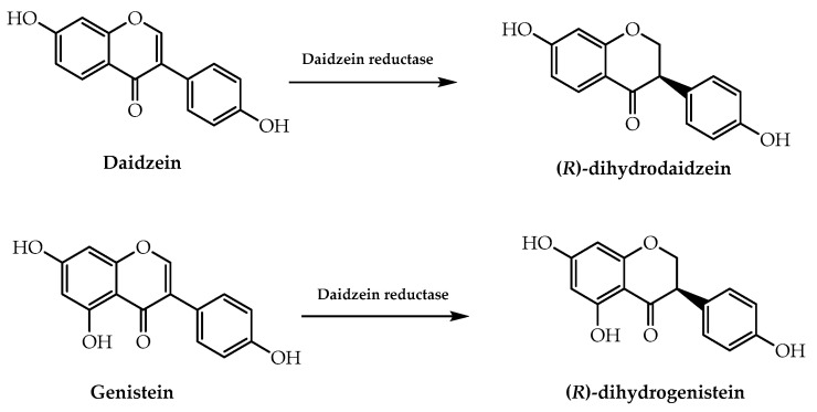 Figure 26