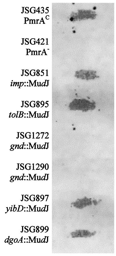 FIG. 4.