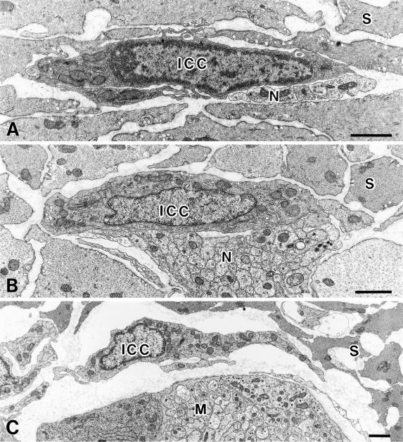 Fig. 2