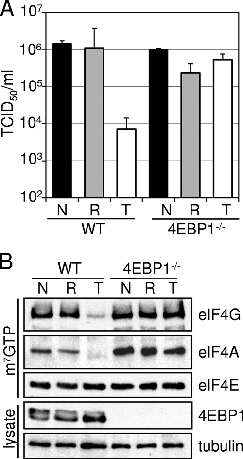 FIG. 7.