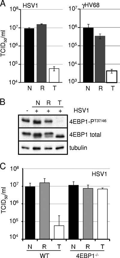 FIG. 8.