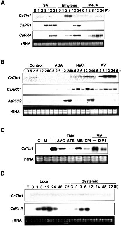 Figure 3.