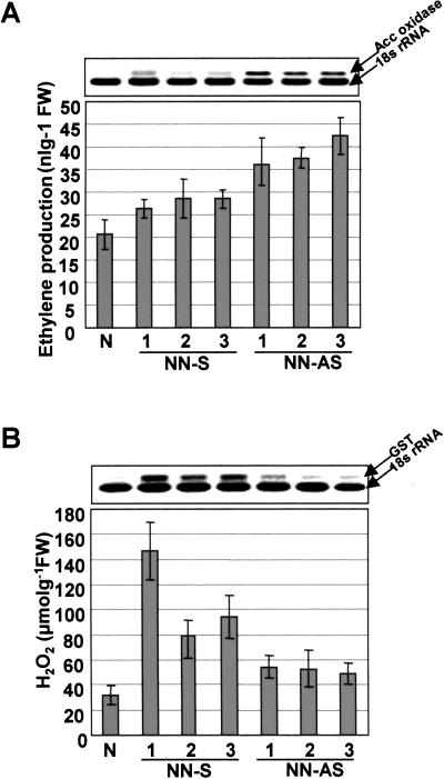 Figure 6.