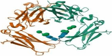 graphic file with name 13065_2024_1371_Figc_HTML.gif