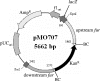 FIG. 1.