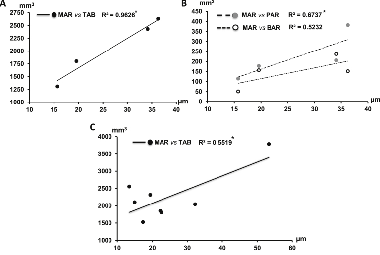 Fig. 11