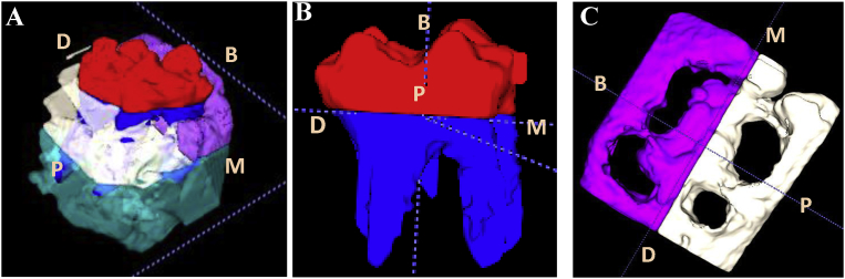 Fig. 3