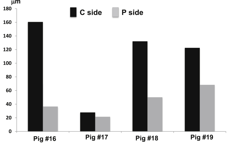 Fig. 10