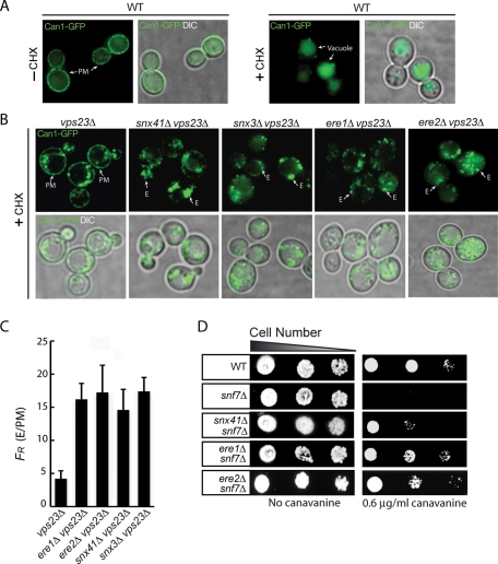 FIGURE 2: