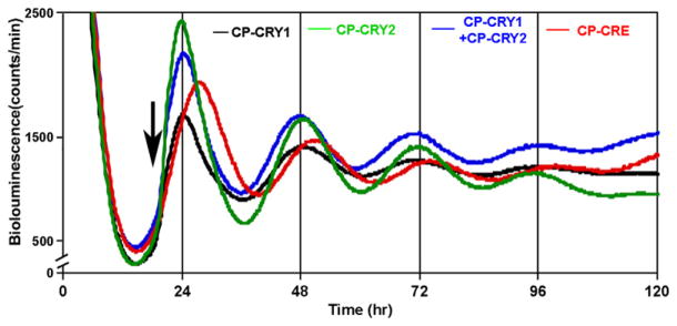 Figure 6