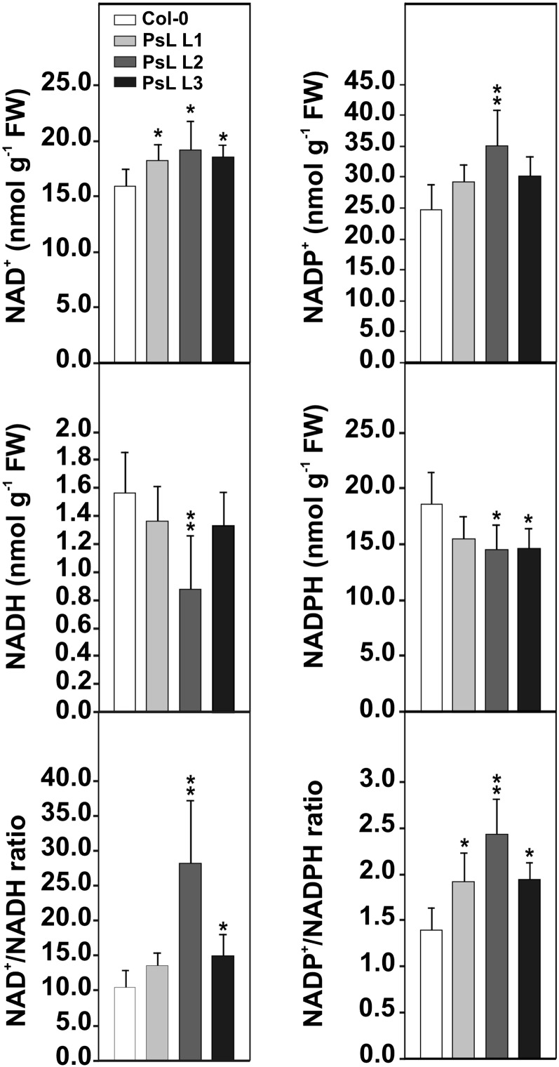 Figure 4.