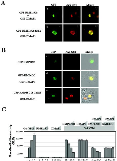 FIG. 7.