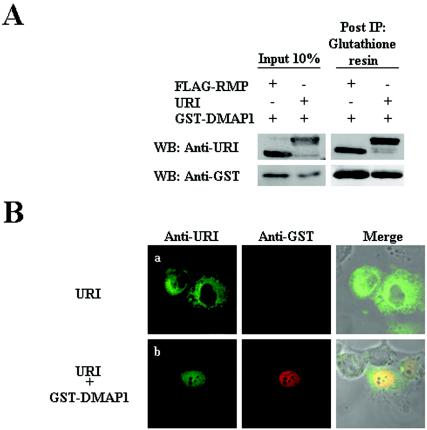 FIG. 8.