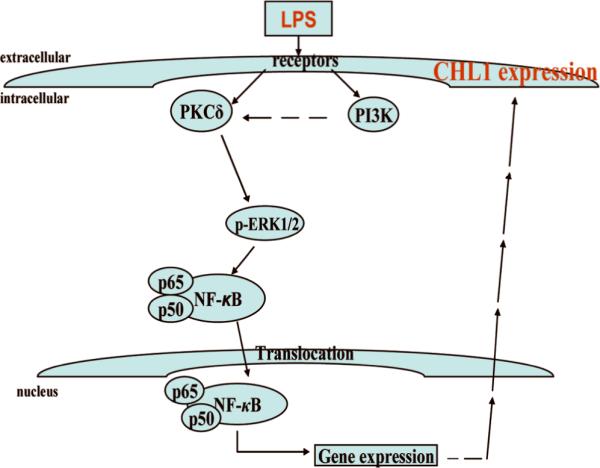 Fig. 10