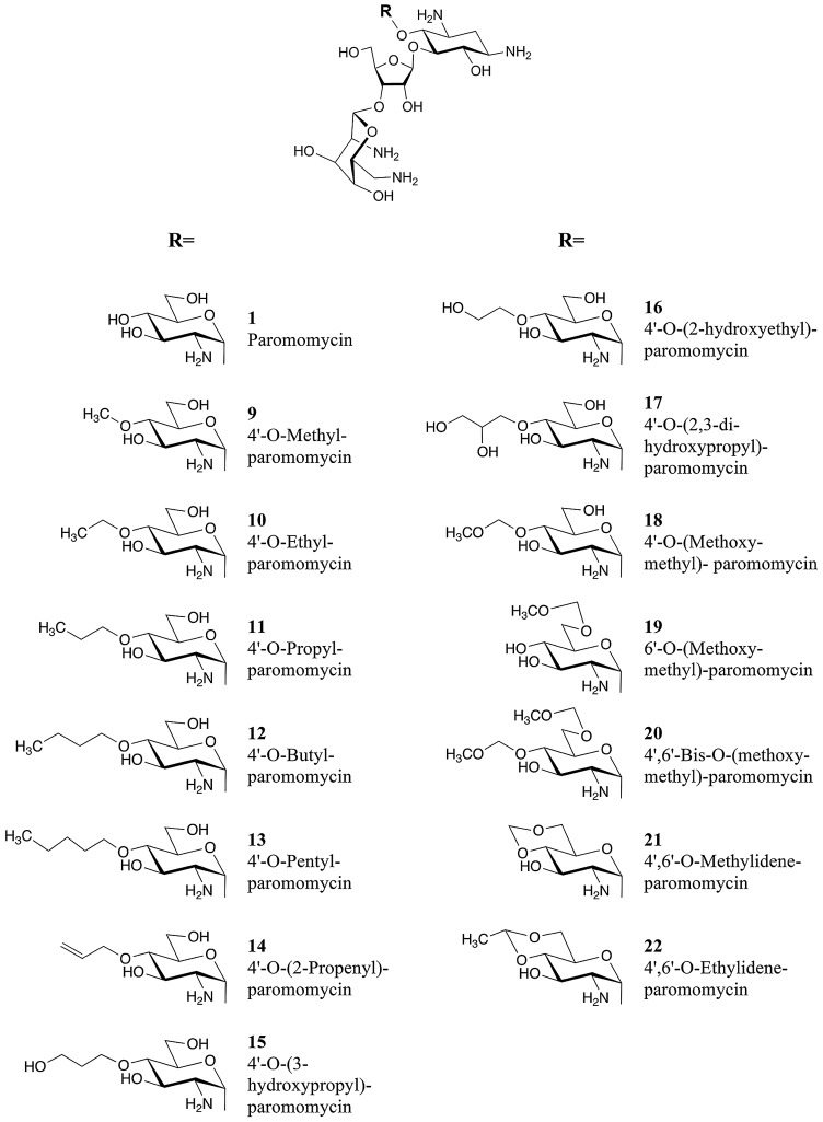 FIG 1 